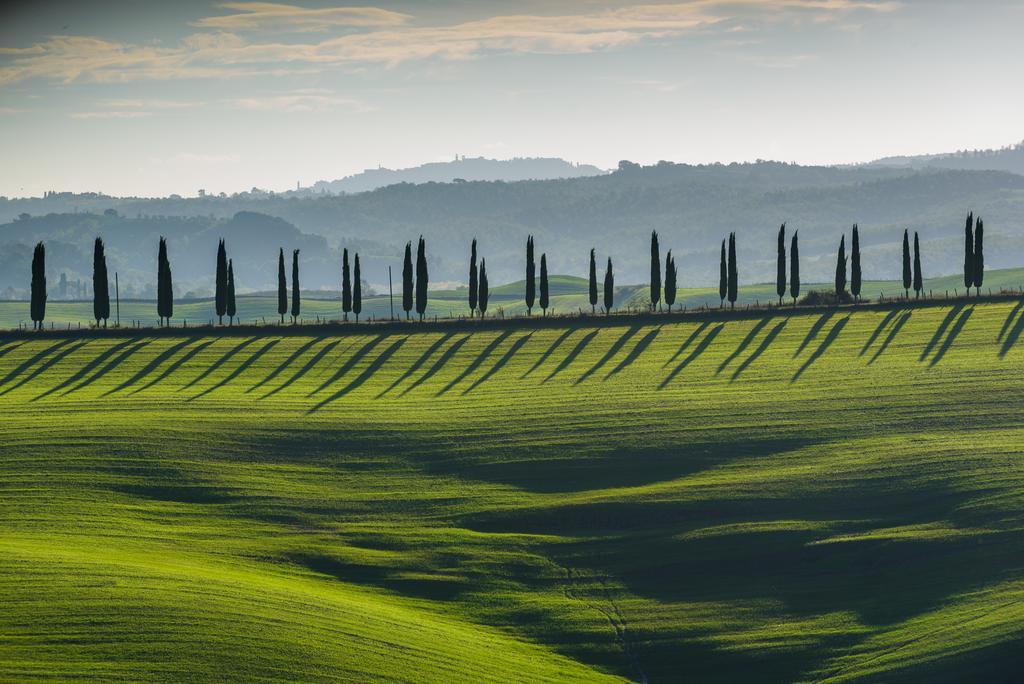 Podere Ampella San Giovanni dʼAsso Exterior foto